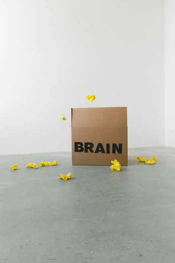 a box that is sitting in the middle of a room, inspired by Bruce Nauman, unsplash, conceptual art, featuring brains, on yellow paper, human body breaking away, set against a white background