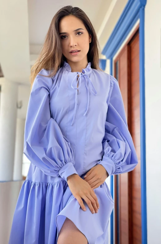 a woman in a blue dress posing for a picture, wearing a blouse, light purple, malika favre, f / 2 0