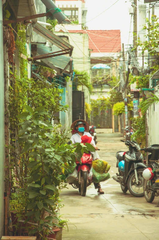 a person riding a motorcycle down a narrow street, filled with plants, bao phan, panoramic shot, masks on wires