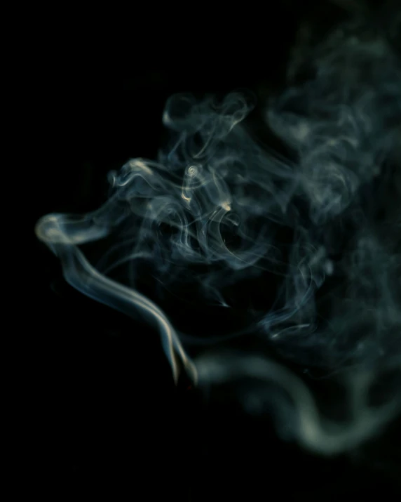 a close up of smoke on a black background, an album cover, inspired by Elsa Bleda, unsplash, hurufiyya, weed, devils, profile image, ashtray