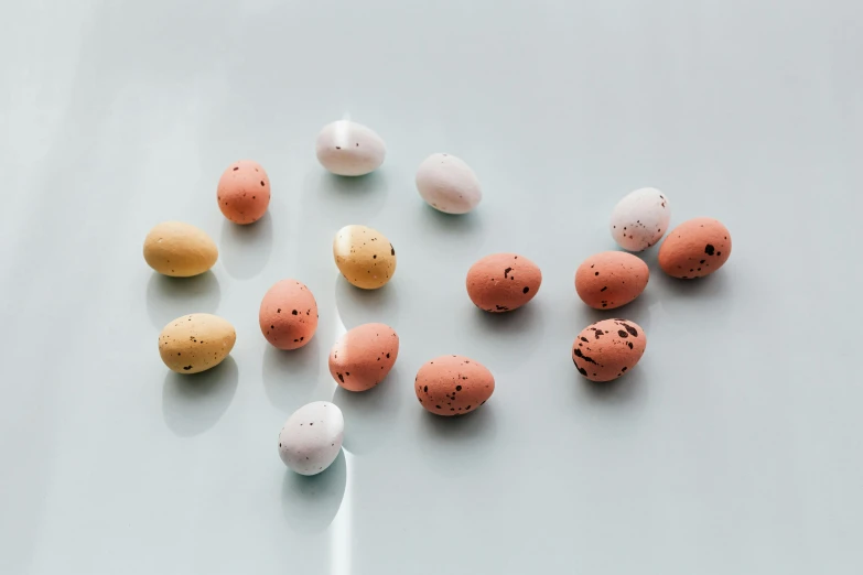 a bunch of eggs sitting on top of a table, john pawson, varying dots, seeds, miniature product photo