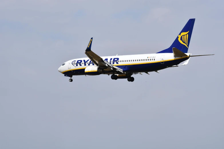 a large jetliner flying through a blue sky, by Kev Walker, pexels contest winner, renaissance, ultramarine blue and gold, plain uniform sky at the back, flying pig, thumbnail