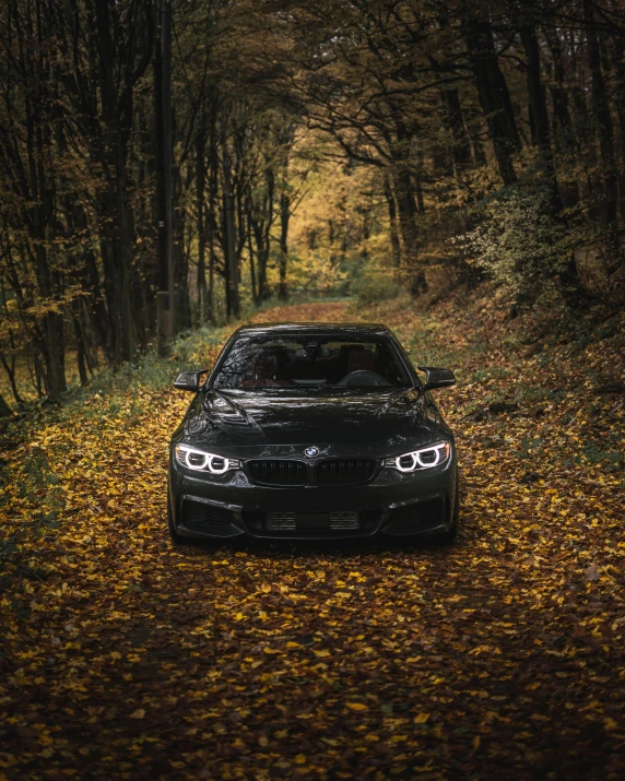 a bmw car parked in the middle of a forest, by Sebastian Spreng, pexels contest winner, 🍂 cute, symmetrical eyes, accent lighting : : peugot onyx, multi chromatic