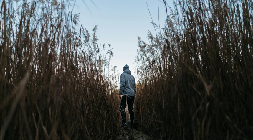 a person walking through a field of tall grass, pexels contest winner, happening, wearing a hoodie and sweatpants, phragmites, body of water, looking from behind