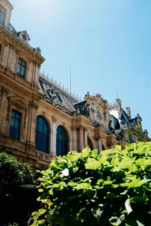 a large building with a clock tower on top of it, an album cover, unsplash, paris school, gardens, summer day, dressed in ornate, roof with vegetation