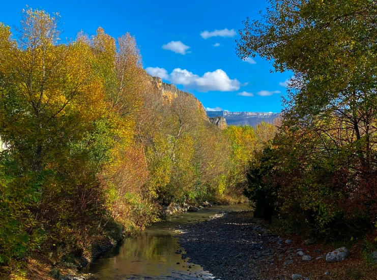 a river running through a lush green forest, by Muggur, pexels contest winner, les nabis, autumn mountains, can basdogan, 2 5 6 x 2 5 6 pixels, view from the side”