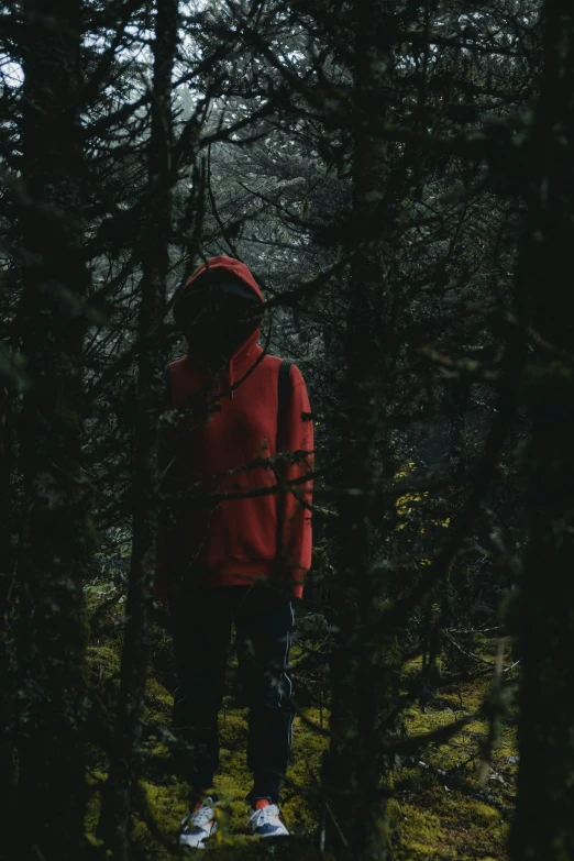 a person in a red jacket standing in a forest, in a black hoodie, lurking, ((forest)), human staring blankly ahead