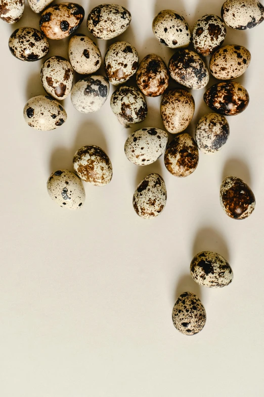 a pile of quails sitting on top of a white surface, by Ellen Gallagher, unsplash, renaissance, strong eggshell texture, beads, 2 0 2 2 photo, beans