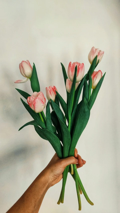a person holding a bunch of pink flowers, a marble sculpture, inspired by Annabel Kidston, unsplash, tulip, fully posable, various sizes, velvet