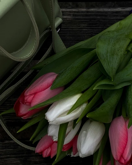 a bunch of pink and white tulips on a table, leather straps, thumbnail, green tonalities, lgbtq