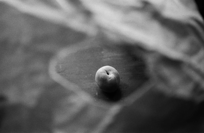 a black and white photo of an apple, by Maurycy Gottlieb, lie on a golden stone, peach, anato finnstark. 3 5 mm, pool