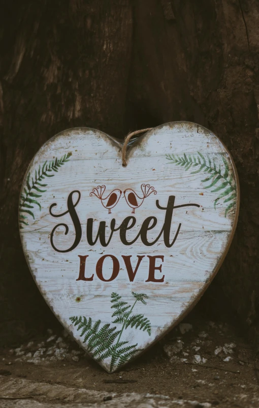 a wooden heart with the words sweet love written on it, a picture, by Gwen Barnard, pexels, botanical photo, panel, dessert, wall art