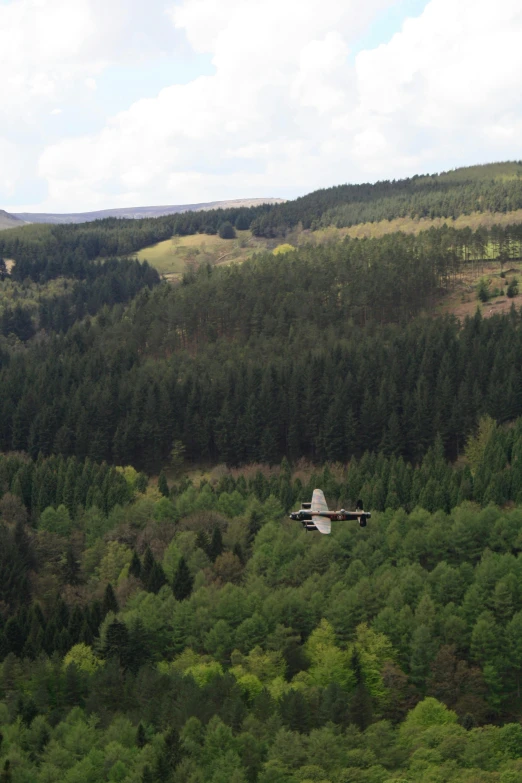 a plane flying over a lush green forest, les nabis, wales, us airforce, heavy forest outside, teaser