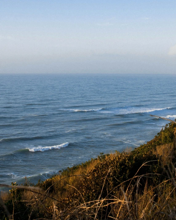 a man standing on top of a cliff next to the ocean, ocean spray, bushes in the foreground, surfing, photo of head