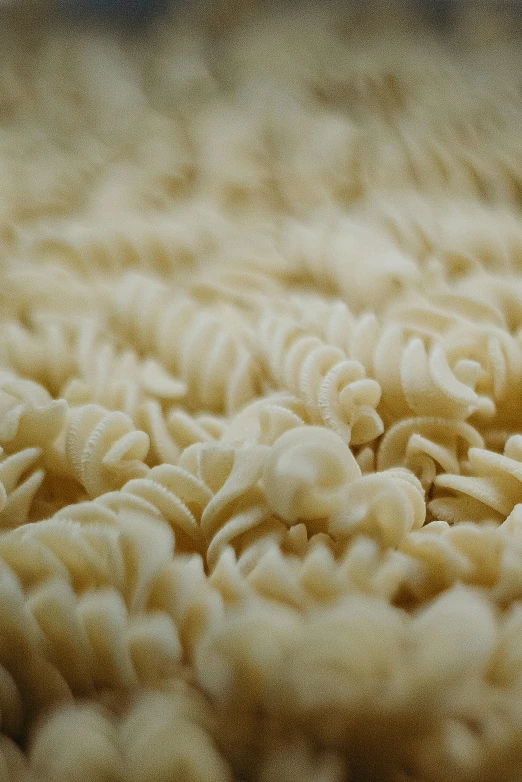 a pile of noodles sitting on top of a table, a macro photograph, by Carey Morris, made of food, cinematic shot ar 9:16 -n 6 -g, ivory, thick lining