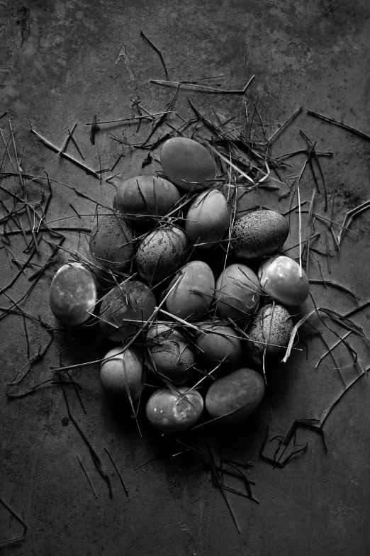 a black and white photo of a bunch of radishes, an album cover, inspired by Roger Ballen, conceptual art, translucent eggs, [ metal ], ffffound, (abstract)