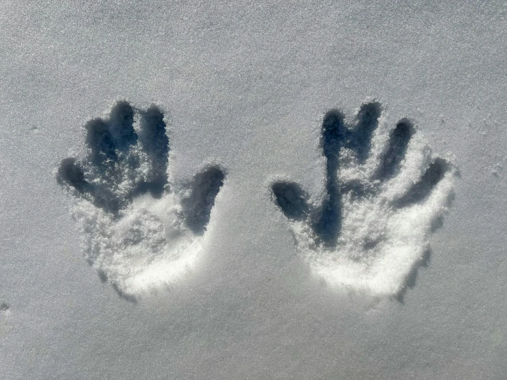 a pair of hand prints in the snow, an album cover, inspired by Vija Celmins, pexels, land art, bigfoot, white tracing, 2030, hunting