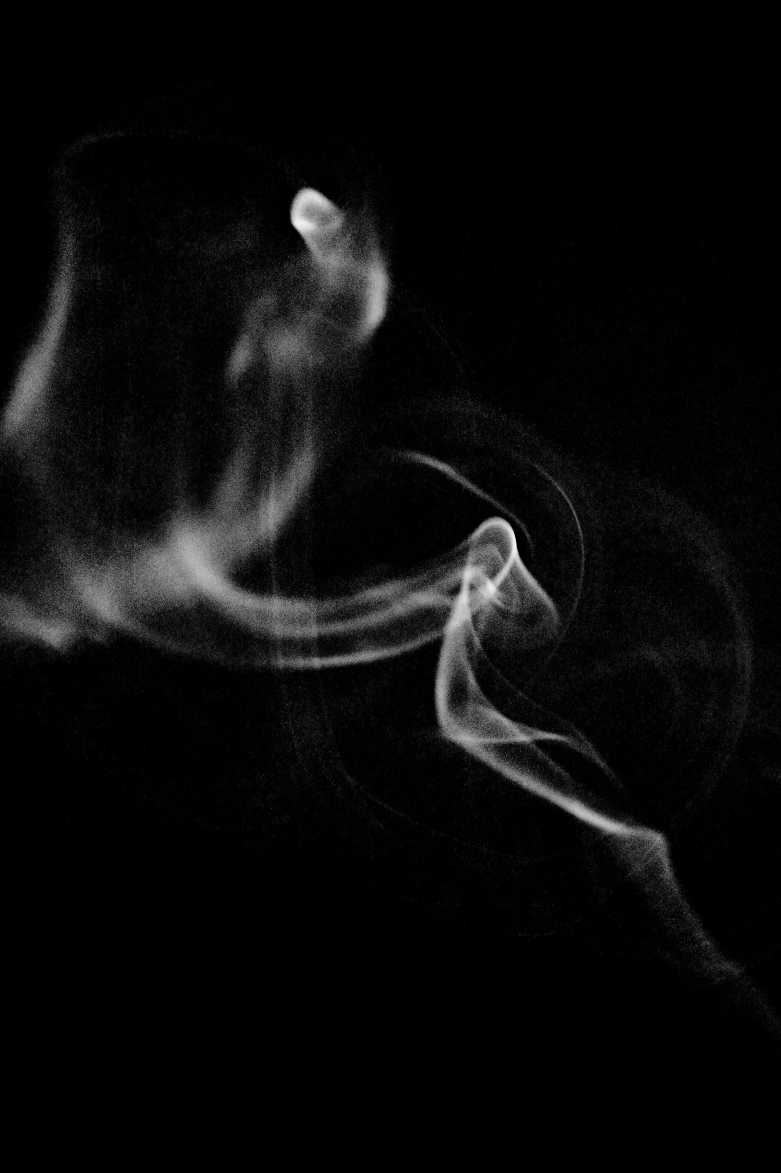 a close up of smoke on a black background, a black and white photo, inspired by Brassaï, flickr, twirls, praying with tobacco, photograph”