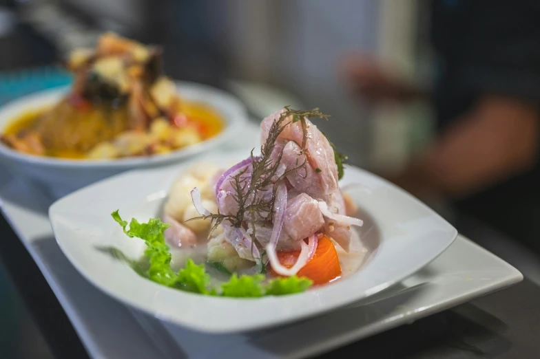 a close up of two plates of food on a table, pichacu cooks a squid, local foods, salad, digital image