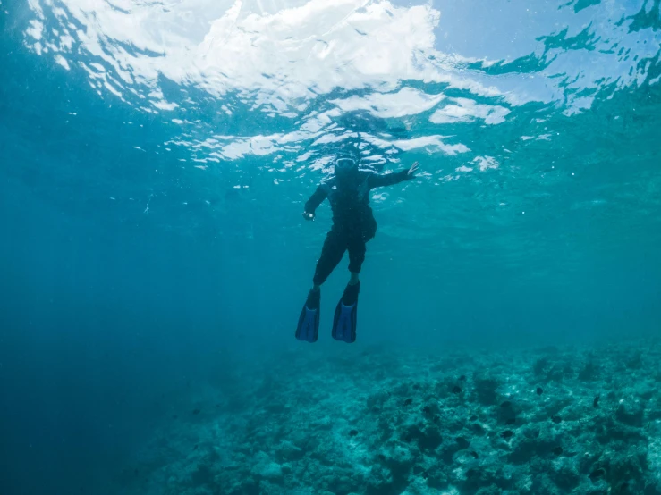 a person swimming in the ocean with a snorg, coral sea bottom, shades of blue and grey, explorer, walking down