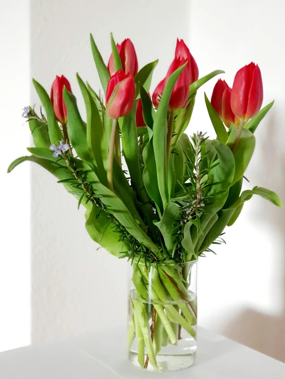 a vase filled with red tulips sitting on a table, full product shot, medium wide front shot, tall