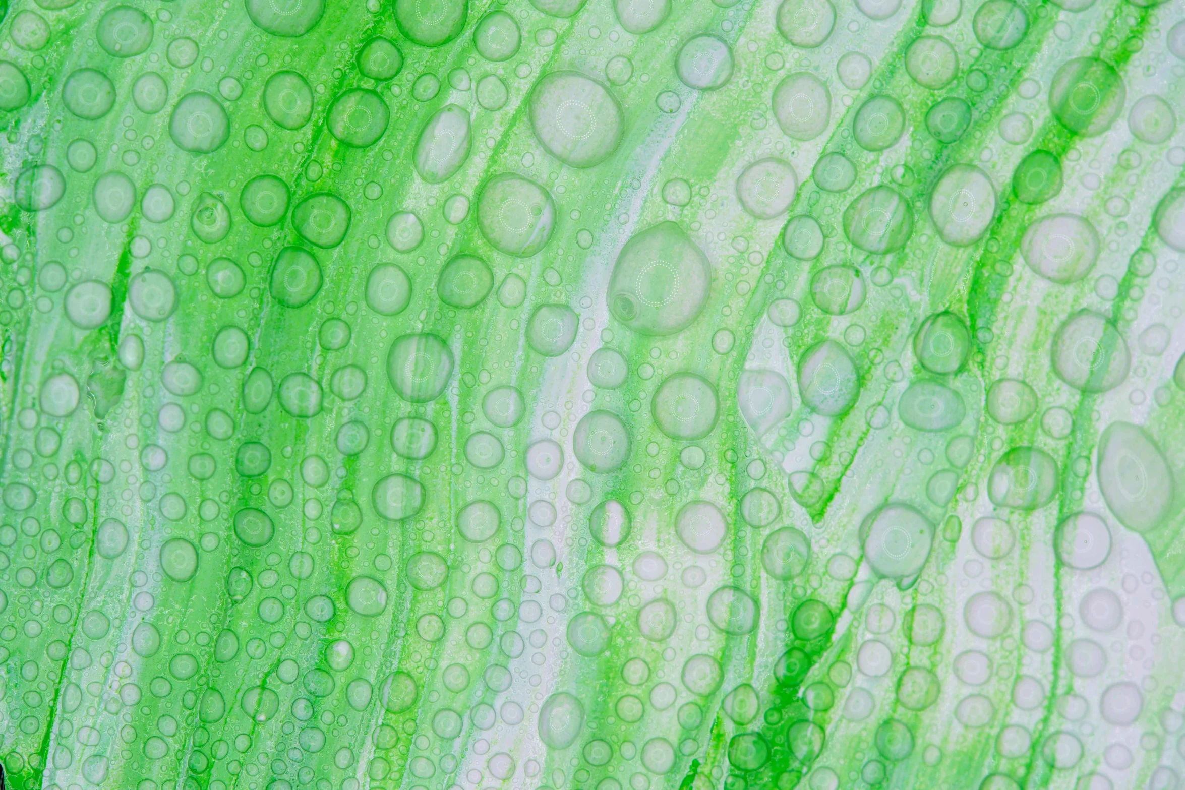 a close up of a leaf with water droplets on it, inspired by Art Green, abstract art, pour cell painting, soap bubbles, green lines, cotton fabric