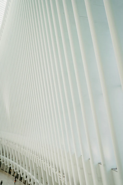 a group of people walking inside of a building, an abstract sculpture, by Cerith Wyn Evans, pexels contest winner, texture detail, santiago calatrava, white picket fence, cables