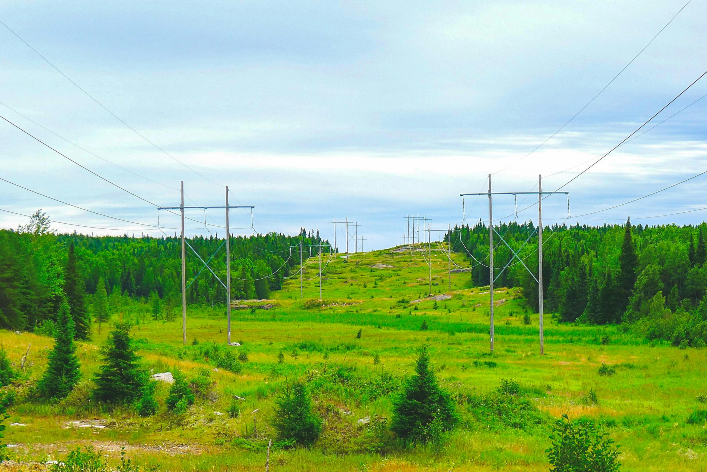 a field with power lines and trees in the background, unsplash, les nabis, boreal forest, slide show, a green, highly complex