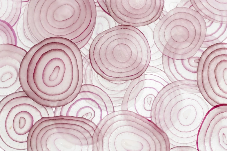 a bunch of sliced onions sitting on top of a table, inspired by Anna Füssli, trending on unsplash, op art, made of lab tissue, gigantic pink ringlets, repeating pattern, translucent overtones