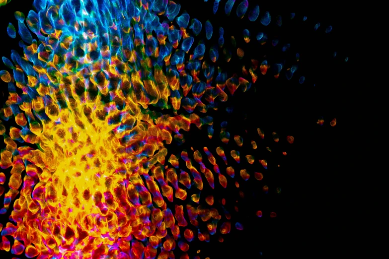 a close up of a colorful object on a black background, a microscopic photo, by Jan Rustem, generative art, rainbow bubbles, solarised, fire particles, made entirely from gradients