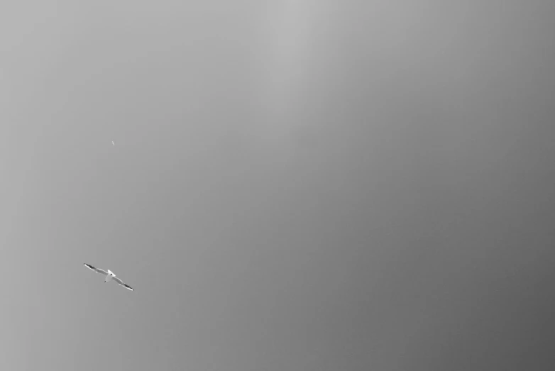 a black and white photo of a plane in the sky, by Jan Rustem, unsplash, minimalism, dragonfly, thin fog, banner, fishing