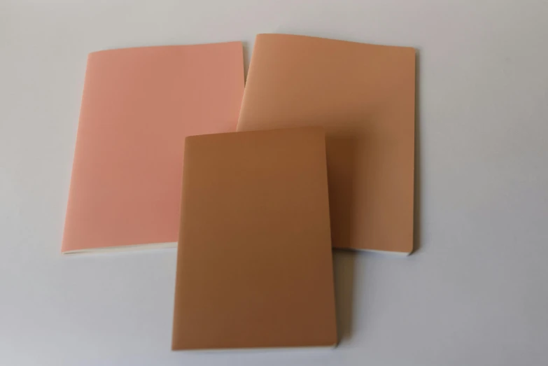 three notebooks sitting next to each other on a table, by Thomas de Keyser, cinnamon skin color, soft vinyl, lot of foam, thumbnail
