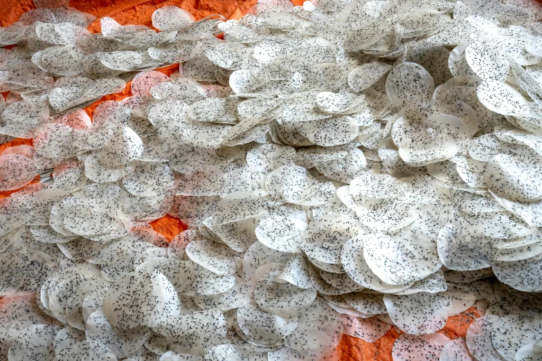 a pile of chips sitting on top of a table, an album cover, kinetic pointillism, orange grey white, lots of white cotton, many cryogenic pods, jelly - like texture. photograph