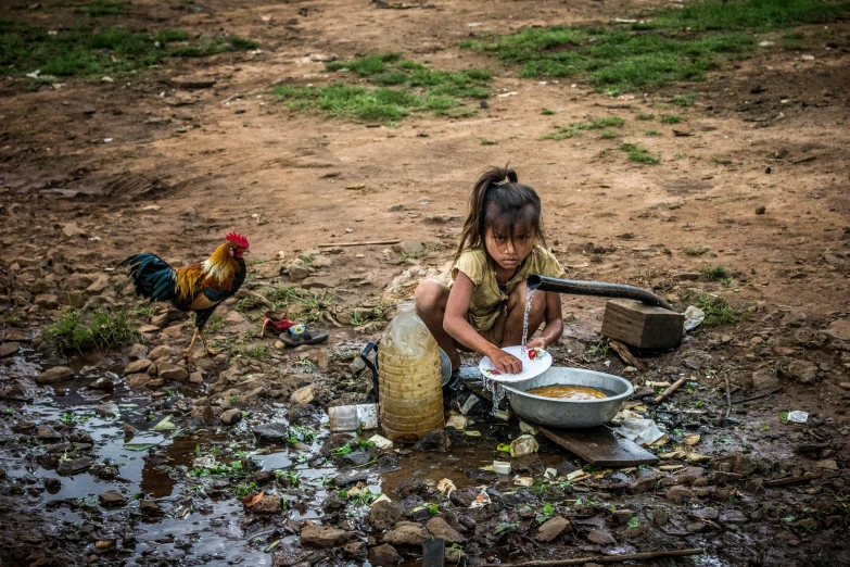 a little girl that is sitting in the dirt, by Daniel Lieske, pexels contest winner, breakfast at las pozas, chicken, cambodia, avatar image