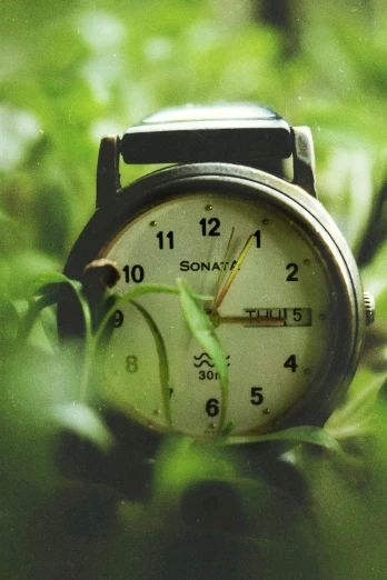 a close up of a watch in the grass, an album cover, inspired by Elsa Bleda, unsplash, romanticism, greenish expired film, clocks, profile pic, some plant life