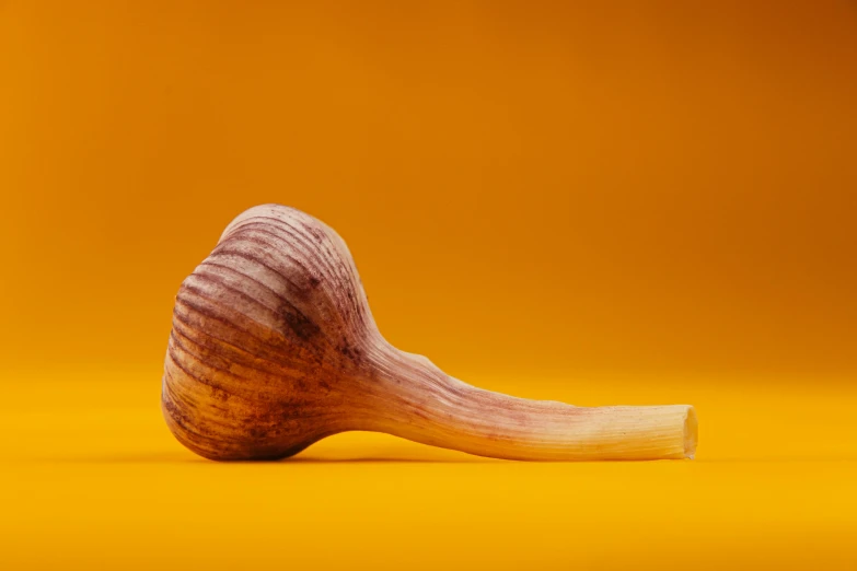 a wooden spoon sitting on top of a yellow surface, by Carey Morris, unsplash, hyperrealism, giant mushroom, onion, high resolution product photo, pipe