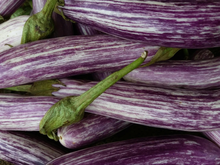 a pile of purple and white striped eggplant, unsplash, renaissance, rectangle, purple tubes, hi resolution, ((purple))