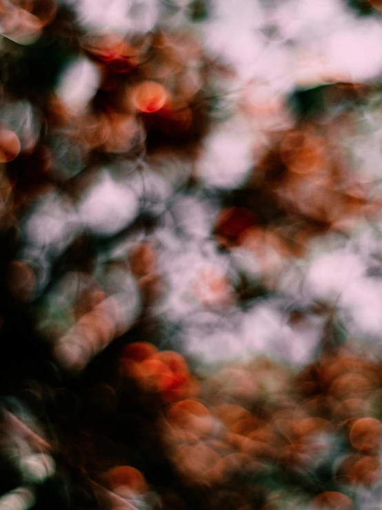 a blurry picture of a red fire hydrant, inspired by Elsa Bleda, unsplash, lyrical abstraction, ((trees)), abstract smokey roses, autum, may)