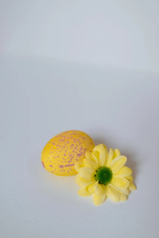 a lemon and a flower on a white surface, holding easter eggs, color ( sony a 7 r iv, mottled coloring, daisy