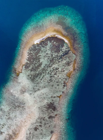 a small island in the middle of the ocean, by Peter Churcher, pexels contest winner, hurufiyya, eagle coral, high angle, detailed information, amanda lilleston