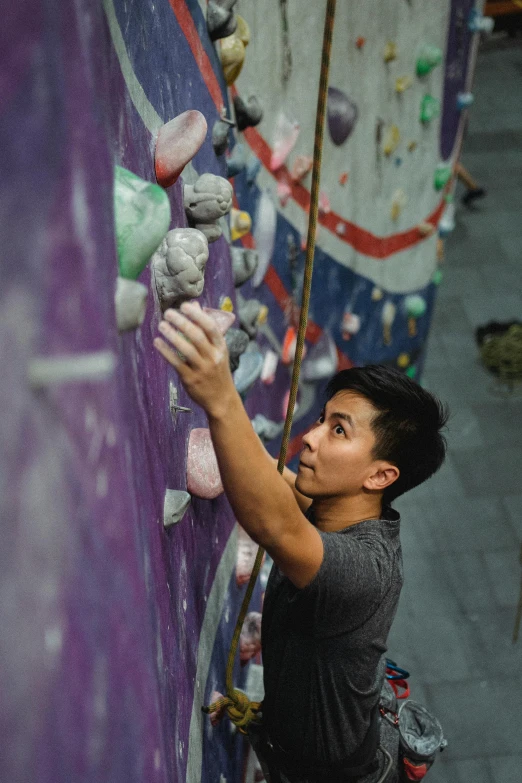 a man climbing up the side of a rock wall, a portrait, by Meredith Dillman, happening, young man in a purple hoodie, christopher cao, profile image, asher duran