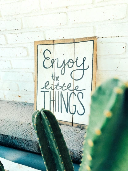 a cactus sits in front of a sign that says enjoy the little things, a picture, pexels, made of wood, thumbnail