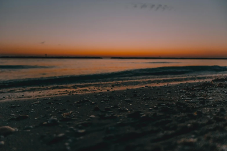 a flock of birds flying over a beach at sunset, a picture, unsplash contest winner, minimalism, sitting on the beach at night, faded colors, ground - level medium shot, cinematic 4 k wallpaper