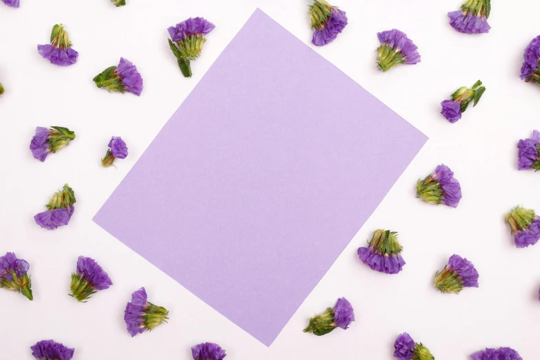 a square purple paper surrounded by purple flowers, trending on pexels, background image, unframed, halo halo halo halo 8k, sheet paper