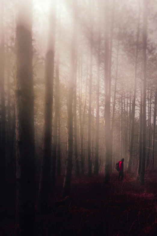 a person standing in the middle of a forest, a picture, by Adam Marczyński, romanticism, medium format. soft light, red mist, adventurous, photograph”