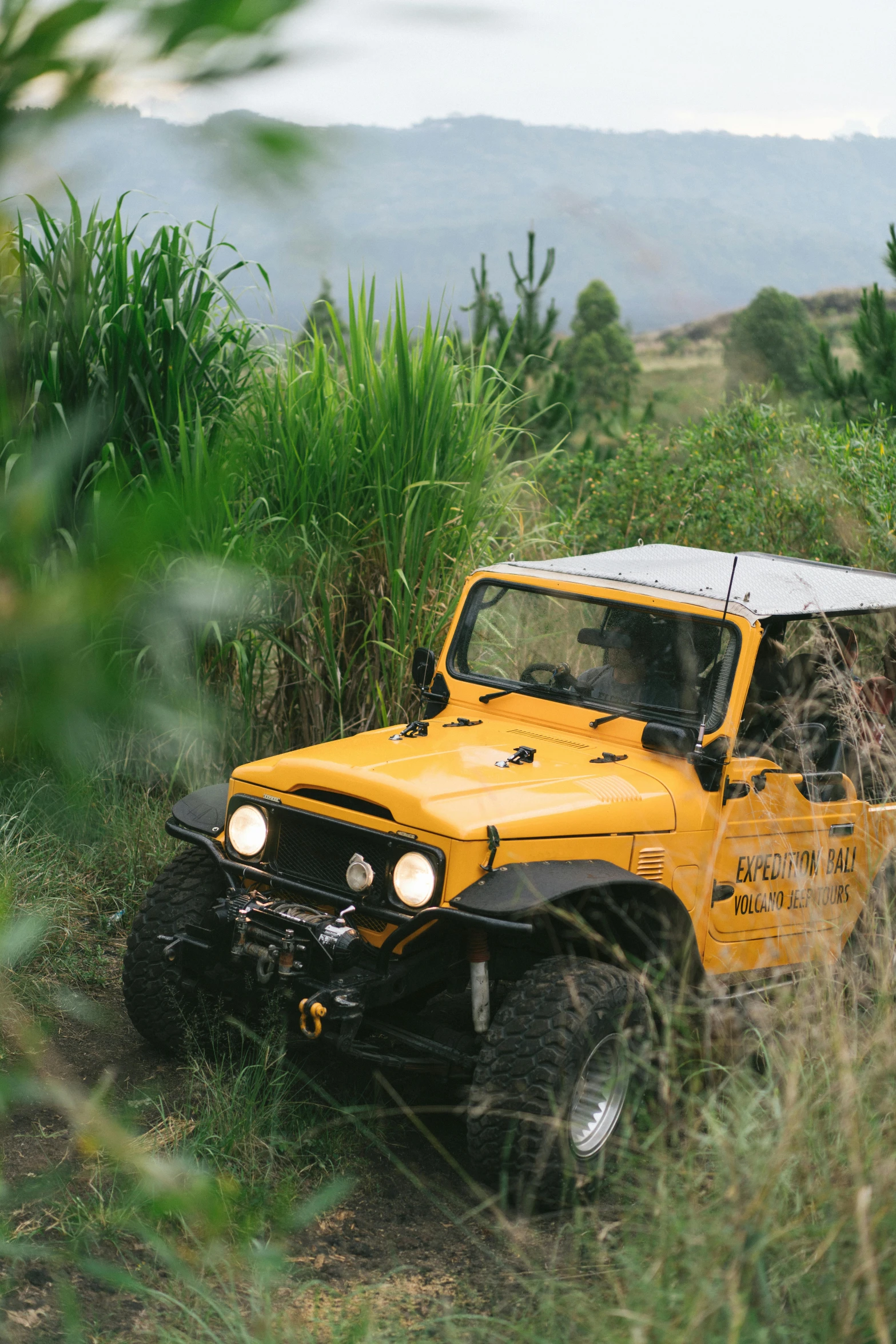 a yellow jeep driving down a dirt road, sumatraism, featuring engine, covered with vegetation, avatar image