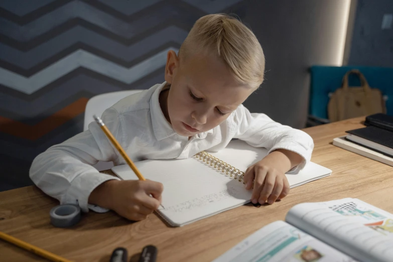 a young boy sitting at a desk writing in a notebook, a child's drawing, inspired by Alexander Roslin, pexels contest winner, danube school, paul barson, animation still, medium shot portrait, family friendly