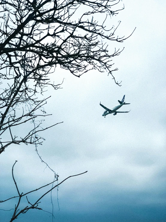 a large jetliner flying through a cloudy sky, by Lucia Peka, pexels contest winner, minimalism, overhanging branches, 🚿🗝📝, snakes on a plane, gloomy skies