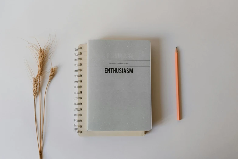 a notebook sitting on top of a table next to a pencil, an album cover, inspired by Emil Bisttram, unsplash contest winner, postminimalism, laughing hysterically, light grey, embossed, epicurious