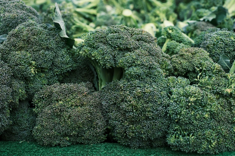 a pile of broccoli sitting on top of a table, renaissance, various sizes, in 2 0 0 2, vibrant foliage, 300mm